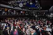161.jpg