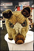 060.jpg