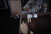 072.jpg