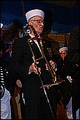 137.jpg