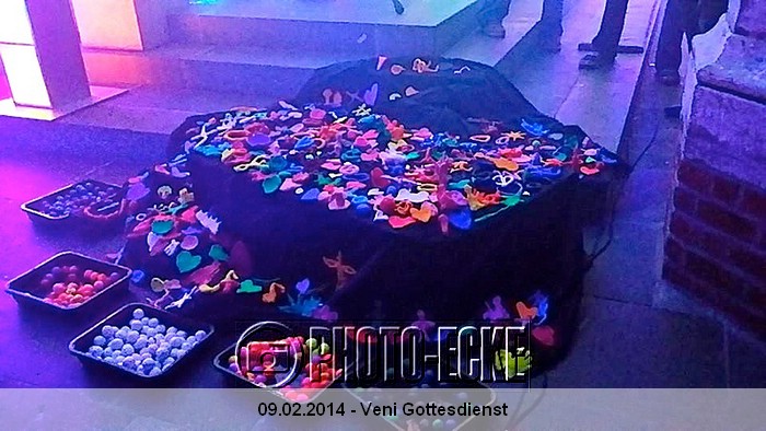 Veni 9.02.2014 21.jpg