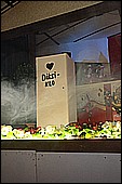 DSC_5812.JPG