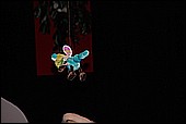 082.jpg