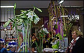 153.jpg
