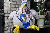 155.jpg
