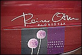 161.jpg