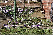 075.jpg