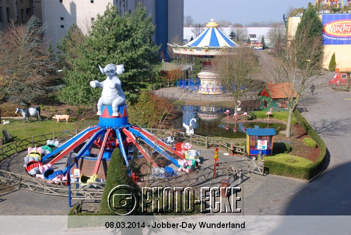 010.jpg