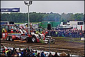153.jpg