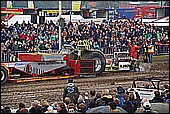 155.jpg