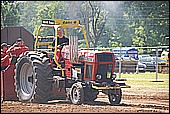 113.jpg
