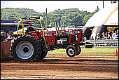 116.jpg