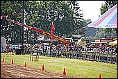 123.jpg
