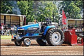 137.jpg