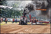 164.jpg
