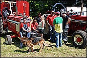 174.jpg