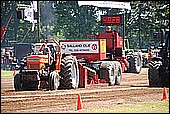 179.jpg