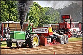 196.jpg