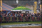 135.jpg