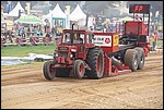 173.jpg
