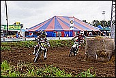053.jpg