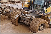 155.jpg