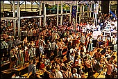 107.jpg