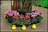 004.jpg
