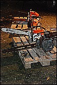 008.jpg