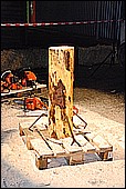 010.jpg