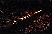 031.jpg