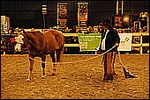 041.jpg