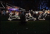 006.jpg