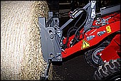 053.jpg